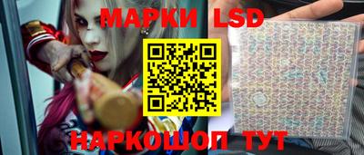 дурь Сланцы