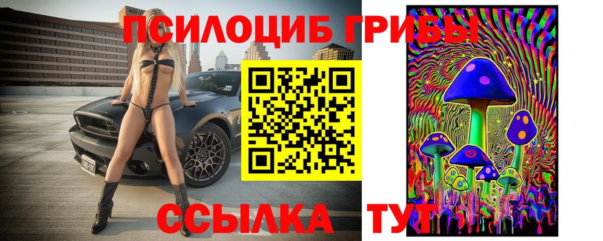 Нижневартовск  Псилоцибиновые грибы Cubensis  Вход с VPN 